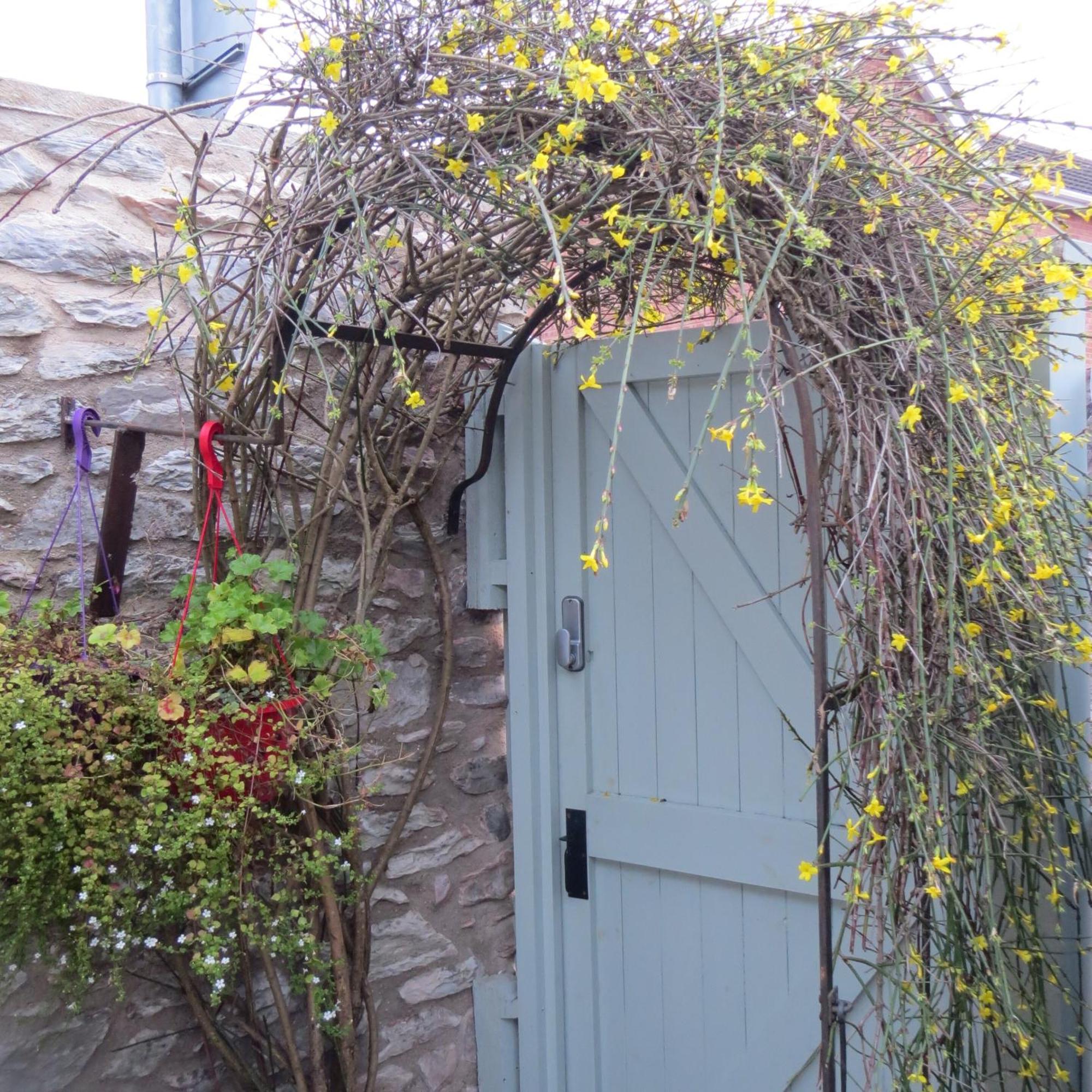 Frog Palace - Secure Parking-Outside Area-Topsham-Exeter-Beach-Chiefs-Wifi Luaran gambar